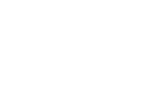 WingsTrack Logo